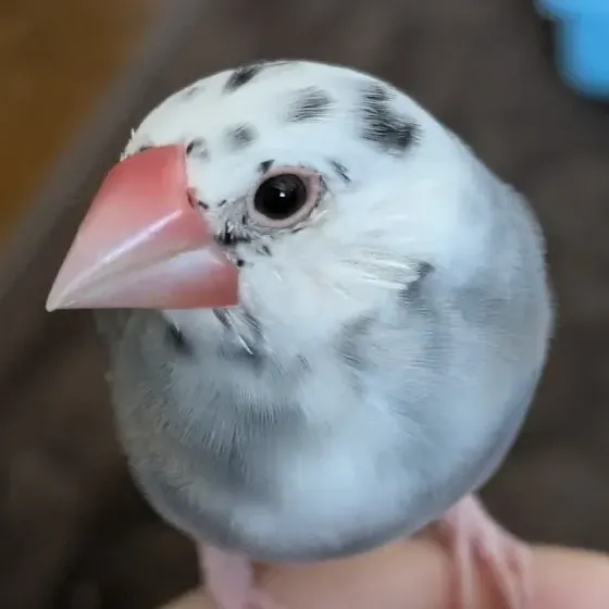 プロフィール写真